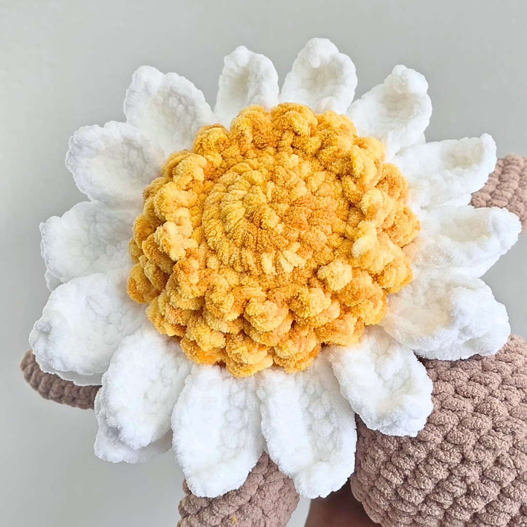 Flower Turtle Plushie - Daisy/Brown